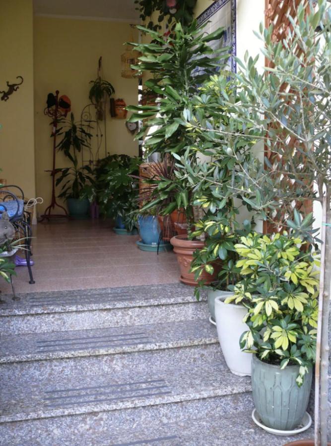 Lovely Flat In Northern Sardinia Valledoria  Zewnętrze zdjęcie